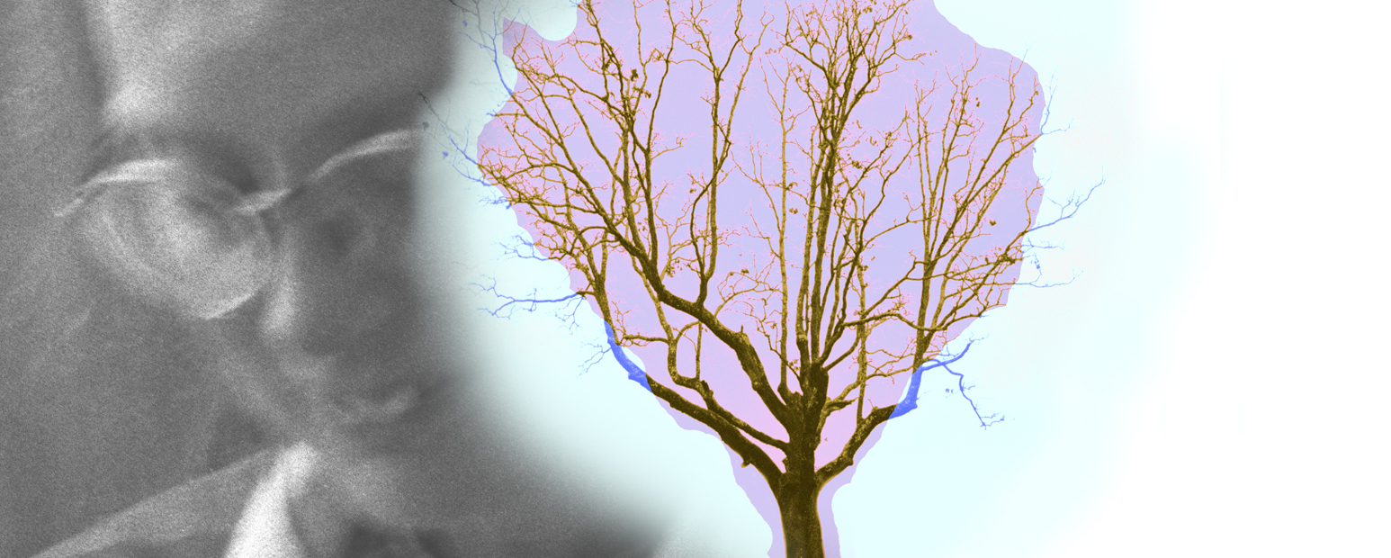 KJface with Color tree