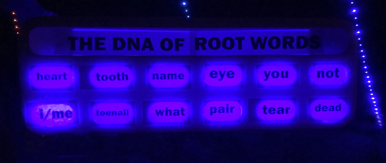 night words copy